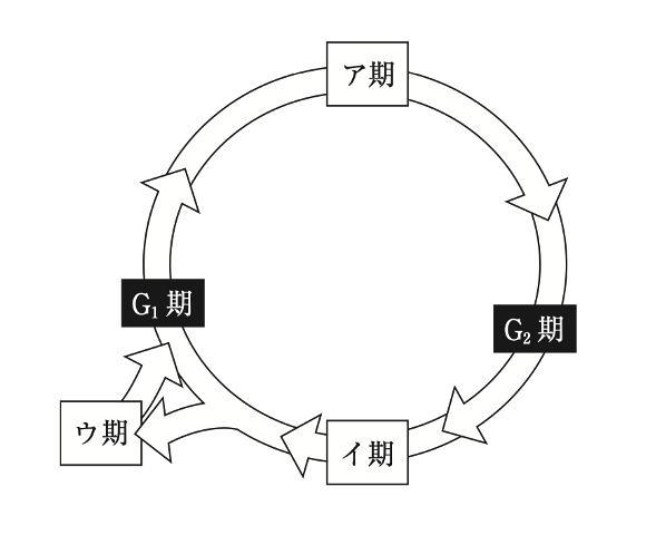 解説画像